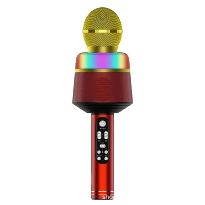 Karaoke All-in-One Machine